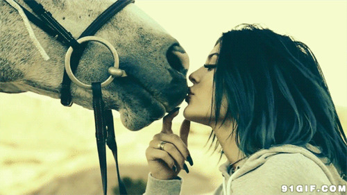 女人亲吻马儿动态图:亲吻