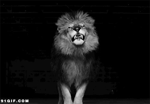 雄狮的怒吼gif图