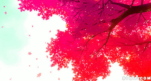 飘落的红叶动漫图片:落叶