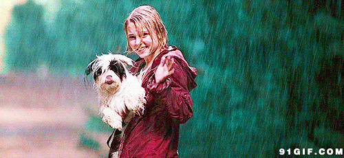 女孩与狗淋雨动态图:淋雨