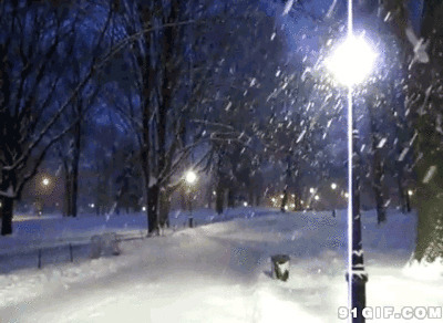 路灯下的落雪gif图片