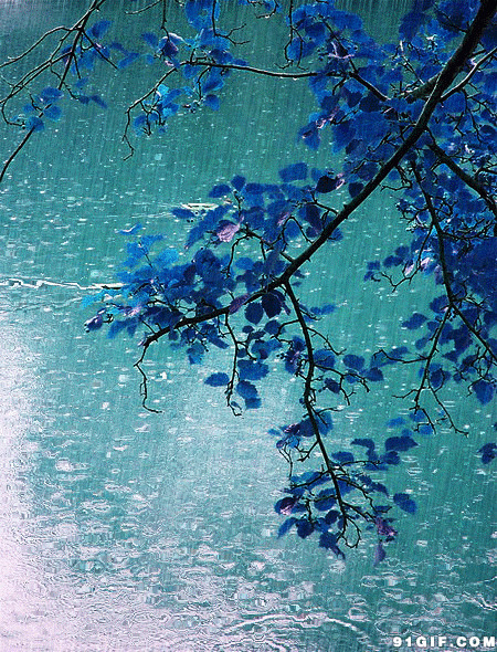 春天的雨景唯美图片
