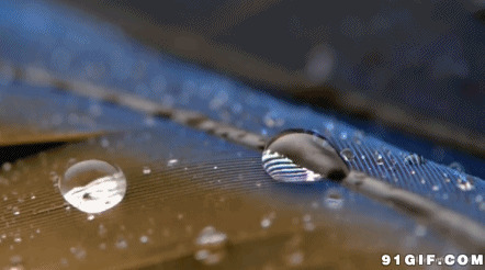 晶莹剔透小水珠gif图:水滴