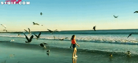 女生与海鸟同在gif图:海鸟