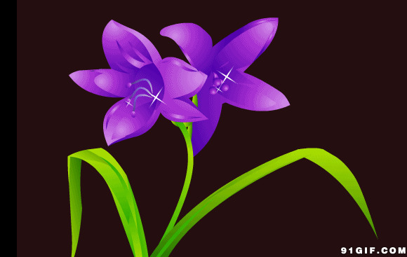 闪亮紫色花唯美图片:花朵