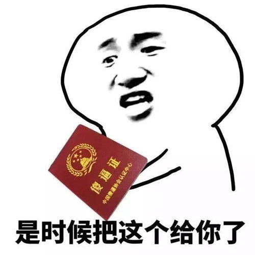 是时候把这个给你了，傻逼证表情图片
