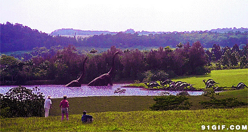 近距离观赏恐龙闪图