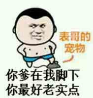 你爹在外脚下你最好老实点啊表格的宠物表情图片