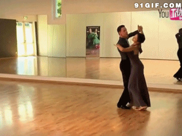 国际交谊舞训练闪图:交谊舞
