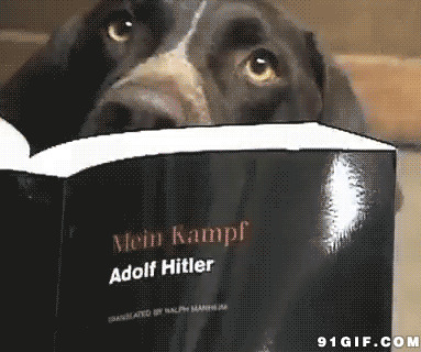 狗狗看书gif图片:狗狗