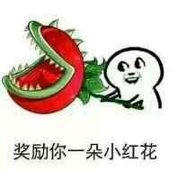 奖励你一朵小红花吧表情图片