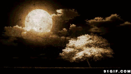 花前明月动漫gif图:月亮