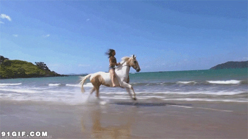 海滩策马飞奔闪图:骑马