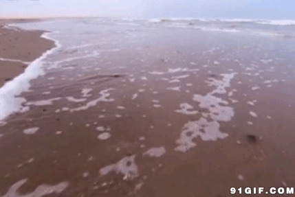 海水漫上沙滩动态图:沙滩