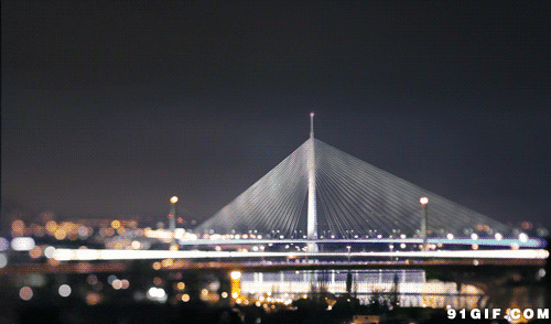 跨海大桥夜景gif图