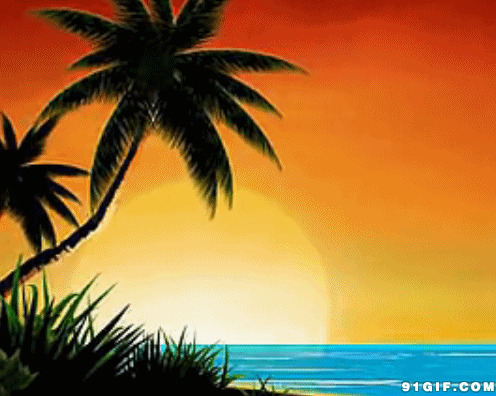卡通椰风大海gif图:椰树