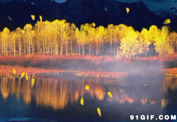 湖边秋天景色闪图