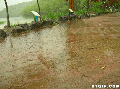 下雨的季节gif图片:下雨