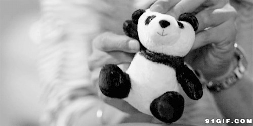 小小玩具熊猫闪图