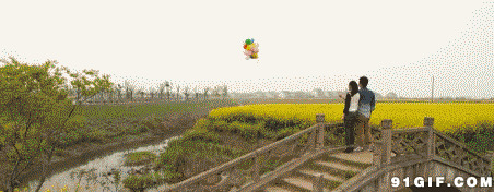 情侣放飞气球gif图:气球