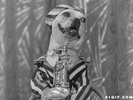 狗狗吹乐器动态图:狗狗