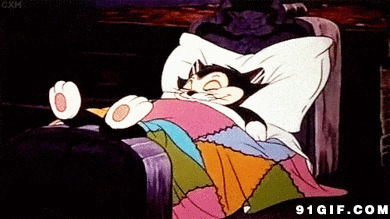 卡通猫咪上床睡觉闪图
