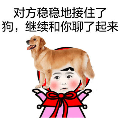 对方问问的接住了狗继续和你聊了起来表情图片