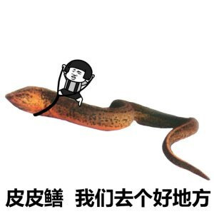 皮皮鳝 我们去个好地方啊表情图片