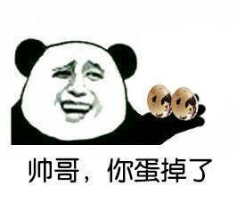 帅哥，你蛋掉了啊表情图片