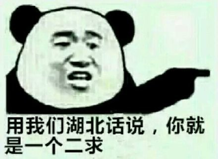 用我们湖北话来说你就是个二求表情图片