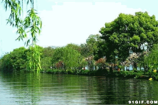 青山绿柳湖边美景图片:美景