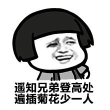 遥知兄弟登高处 插便菊花少一人表情图片