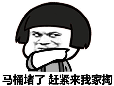 马桶堵了 赶紧来我家掏表情图片