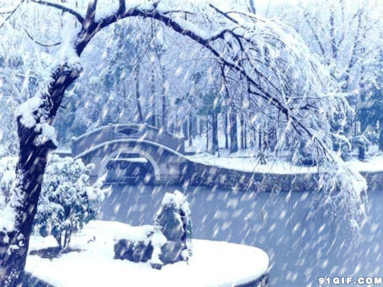 冬季鹅毛大雪闪图:下雪