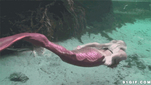 海底美人鱼潜水gif图:美人鱼
