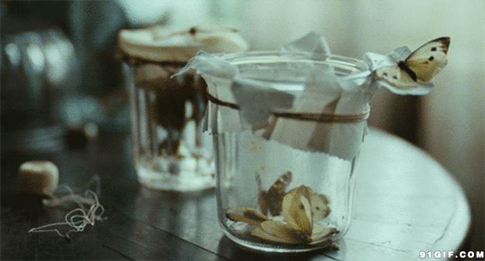玻璃瓶里的蝴蝶闪图:蝴蝶