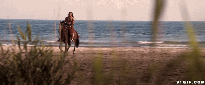 骑着马在海滩gif图