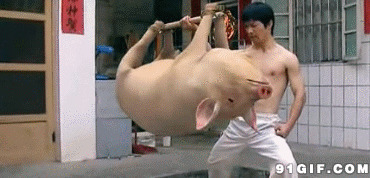 单手举猪搞笑图片:举重
