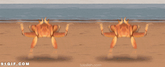 横着走的螃蟹跳舞闪图:螃蟹
