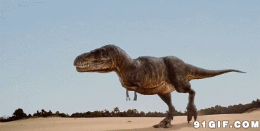 小恐龙散步动态图:恐龙