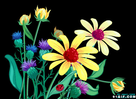 动漫美丽的花卉闪图:花朵