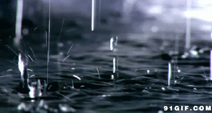 雨水滴落动态图:雨水