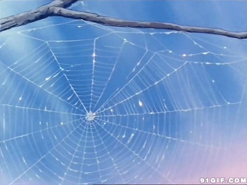 闪亮的蜘蛛网卡通图片:蜘蛛网