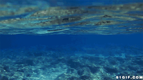 海底清澈透亮gif图:海底
