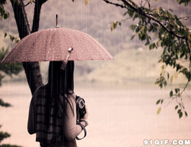 雨中打伞的女孩闪图:打伞