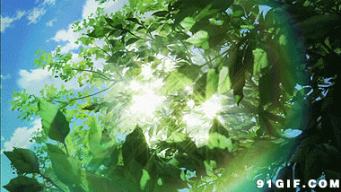 绿树散发光芒动漫图片:光芒