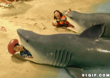 大鲨鱼海滩吃人动态图:鲨鱼