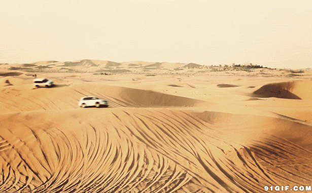 沙漠追逐赛动态图:赛车