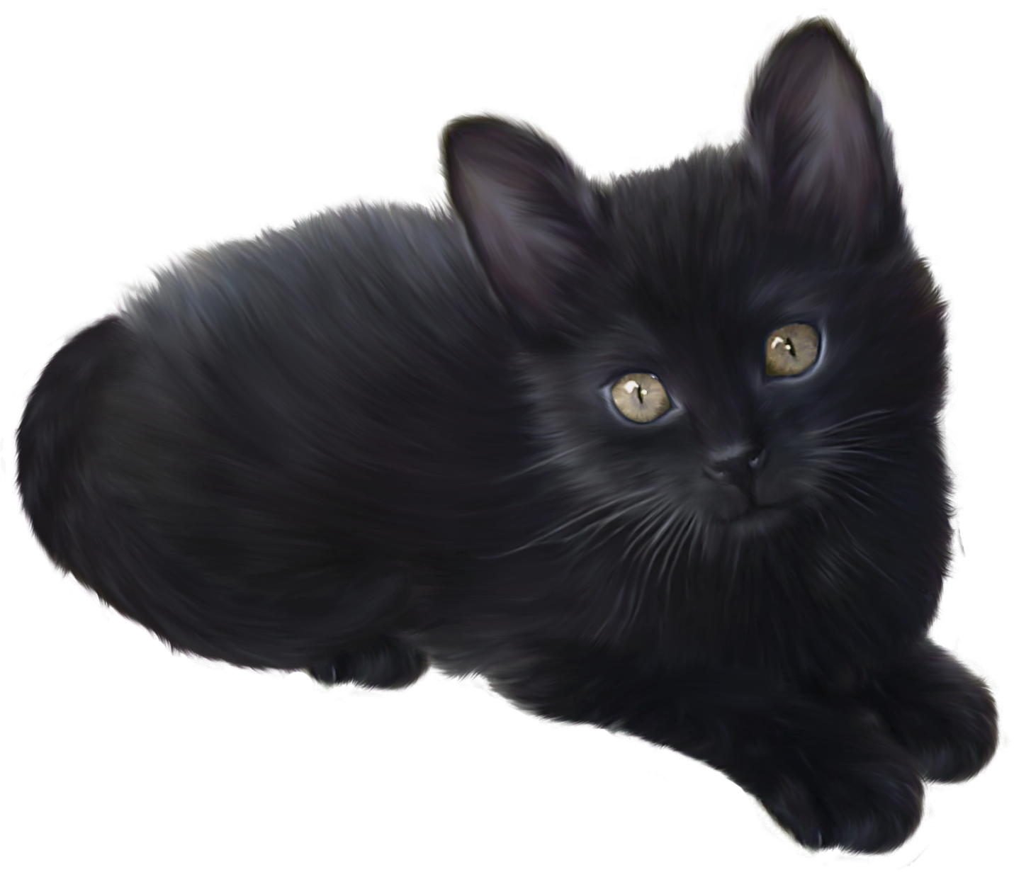 大黑猫猫PNG图片