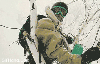 滑雪撞树搞笑图片:滑雪